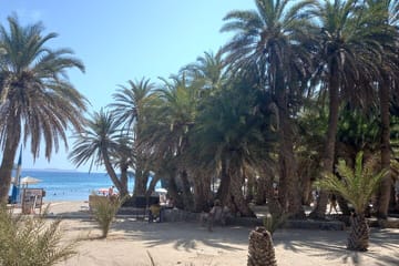 Full Day Private Tour to Vai Palm Beach