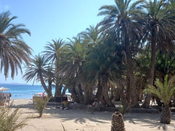 Wine Raki and Olive Oil tasting in Heraklion