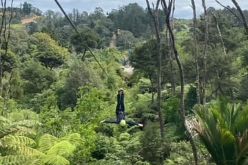 Two-Day Guided Tour of Coromandel Peninsula, New Zealand