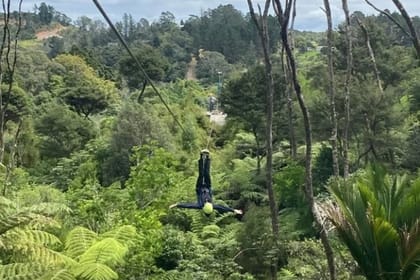 The most comprehensive all-inclusive Coromandel Peninsula tour over two days