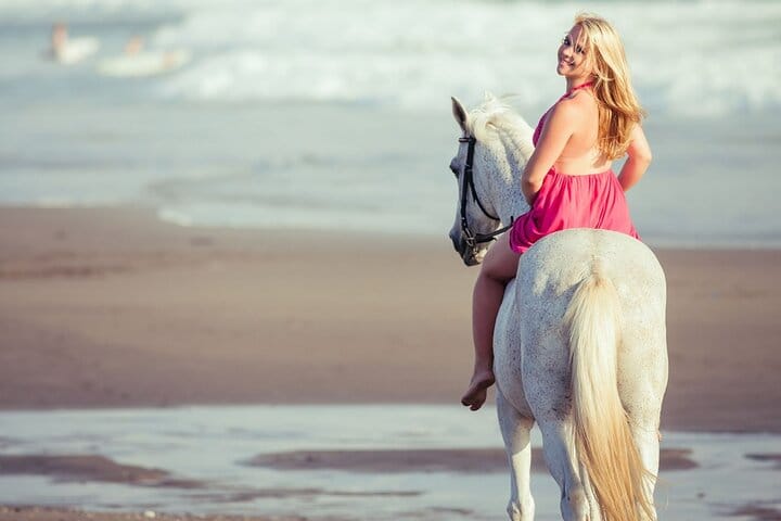 Horse Riding on the beach With Transfer From Sharm El Sheikh