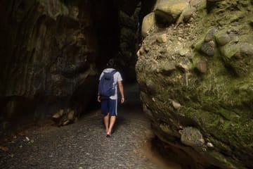 Dehradun- Transfers+Hotel+Sightseeing