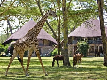 8-Day Private Family Safari Adventure in Nairobi, Kenya