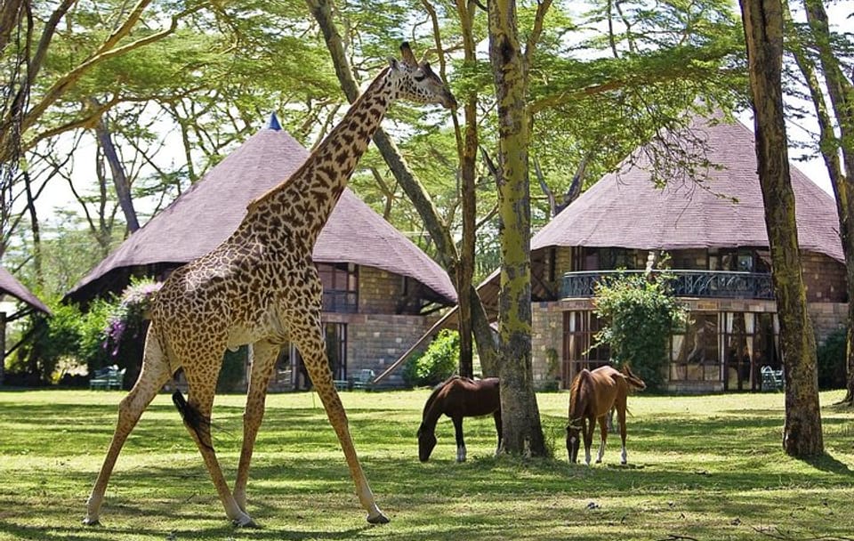 8-Day Private Family Safari Adventure in Nairobi, Kenya