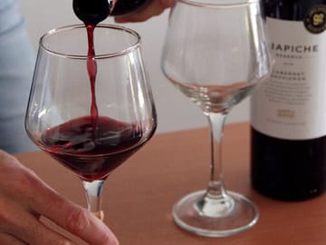 Argentinian Wine and Malbec Tasting Tour in Palermo, Buenos Aires