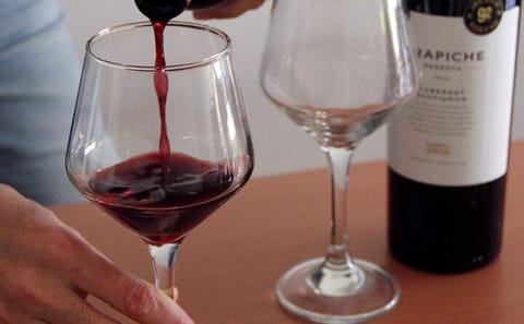 Argentinian Wine and Malbec Tasting Tour in Palermo, Buenos Aires