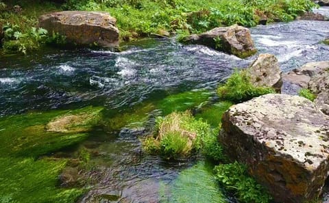 Scenic Tsalka Canyon Tour with Historic Sites from Tbilisi