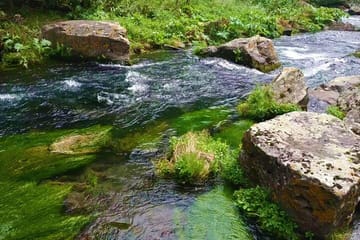 Scenic Tsalka Canyon Tour with Historic Sites from Tbilisi