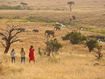 15-Day Safari and Beach Adventure in Kenya