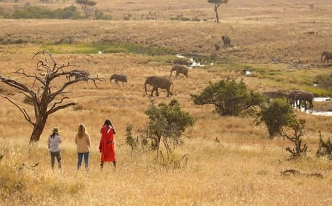 15-Day Safari and Beach Adventure in Kenya