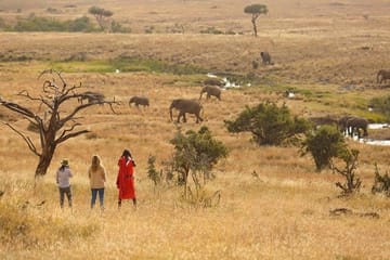 15-Day Safari and Beach Adventure in Kenya