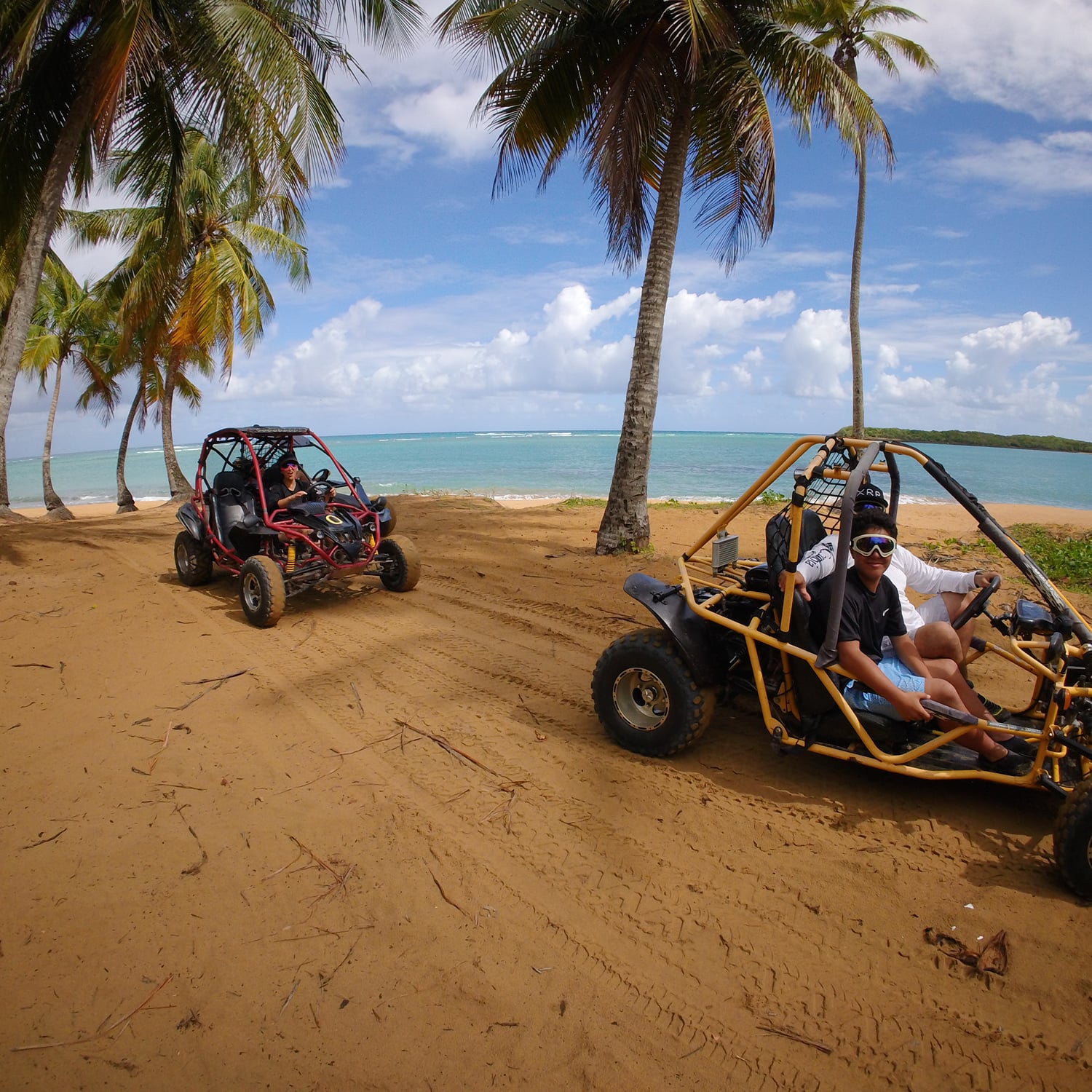 Beach Buggy Tour