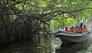 04 Day Tour From  Galle ( Without Accommodation) 5