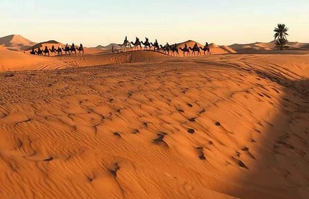 Three-Day Desert Tour from Marrakech to Ait Ben Haddou and Boumalne Dades