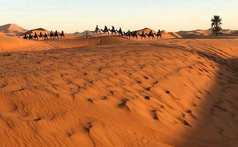 Three-Day Desert Tour from Marrakech to Ait Ben Haddou and Boumalne Dades