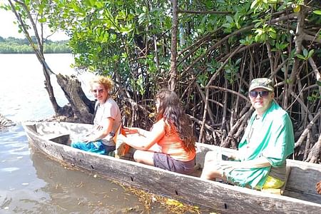 Zanzibar’s Hidden Heartbeat