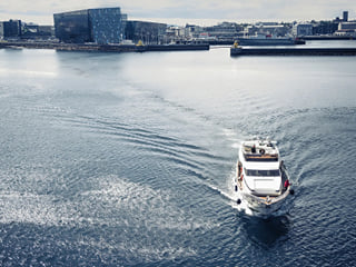 Puffins & People: A Reykjavik City & Boat Adventure, photo 12