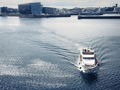 Puffins & People: A Reykjavik City & Boat Adventure, photo 12
