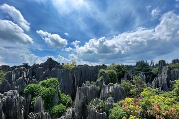 Kunming City Tour with Stone Forest and Roast Duck Lunch