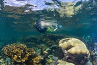 Half Day Guided Snorkeling Adventure Tour from Cancun 10