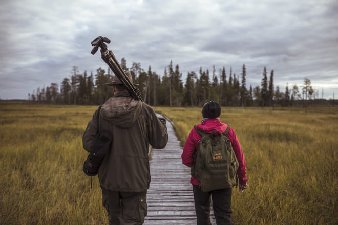 Bird Watching, Nature and Wildlife	 4