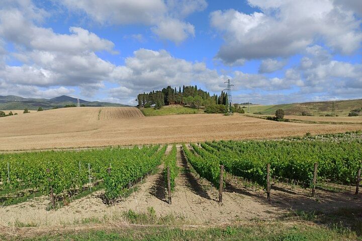 PRIVATE TOUR: Pisa & Siena in one day with Wine tasting & Lunch in Chianti