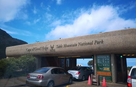 Private Tour of Cape of Good Hope, Penguins, and Kirstenbosch