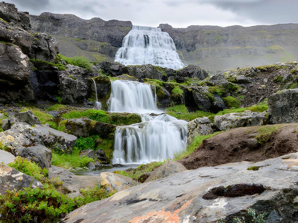 Dynjandi Waterfall and Farm Visit: Small Group Tour from Isafjordur Port — Nordur Travel Services ehf
