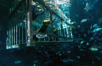 Snorkling