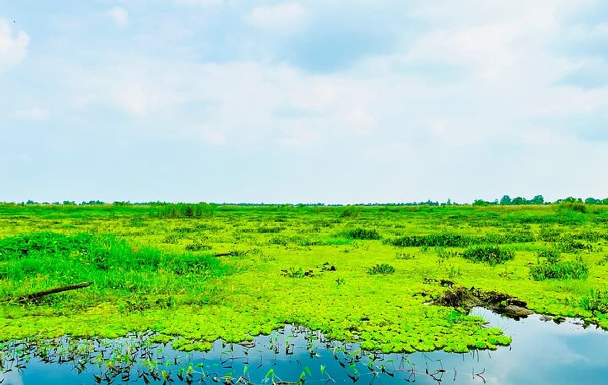 U Minh Thuong National Park Deep Exploration