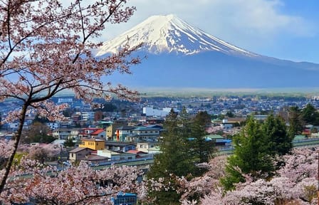 Mt. Fuji and Hakone Customizable English Guided Private Tour
