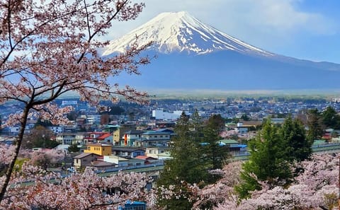 Mt. Fuji and Hakone Customizable English Guided Private Tour