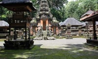 Best of Ubud: Monkey Forest - Swing - Rice Terrace - Temple 4