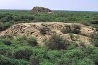 Sican Museum and Batan Grande National Park Day Trip from Chiclayo