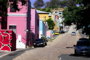 Table Mountain and Cape Peninsula Tour with Penguins