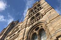 Private Half Day London Tour With Car/Black Cab/MPV/Van/Coach 8