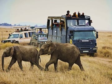 Luxury 4-Day Wildlife Safari in Nairobi, Kenya