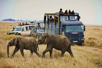 4-Day Taste of Kenya Wildlife Safari – High End