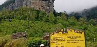 03 Day Tour From  Kandy ( Without Accommodation )  9