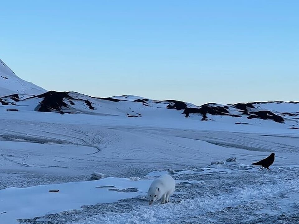 Silver Circle Private Tour from Reykjavík — Valkyrie Tours