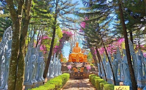 Dalat Countryside and Pongour Waterfall Small Group Tour