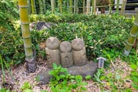 Kamakura Historical Walking Tour with the Great Buddha 8