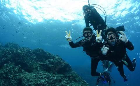 Scuba Diving and Snorkeling Tour in Phuket Islands