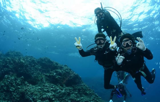 Scuba Diving and Nature Tour at Racha Yai Dive Spot, Phuket
