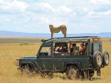 5-Day Gorilla Trekking and Wildlife Tour in Entebbe, Uganda