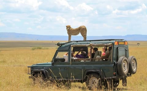 5-Day Gorilla Trekking and Wildlife Tour in Entebbe, Uganda
