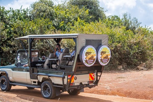Things to do in National Park