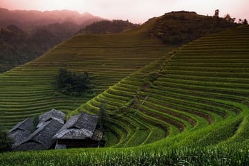 Longji Rice Terraced Fields and Minority Villages Hiking Tour