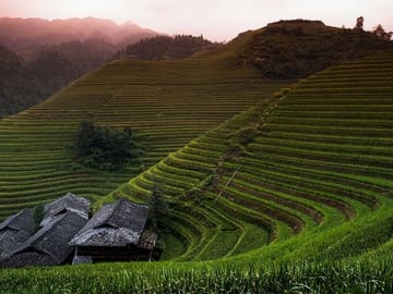 Mini Group: Longji Rice Terraced Fields and Minority Villages Tour