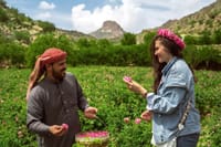 Visit Taif The City of Roses From Jeddah 1